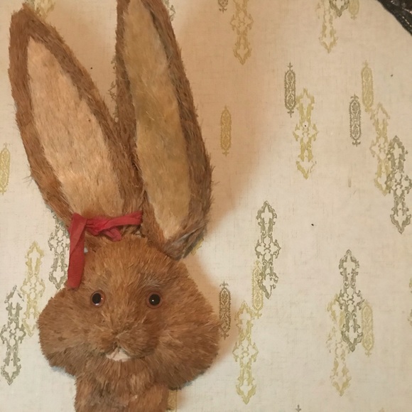 Meet your Posher, Penny - Picture 12 of 14